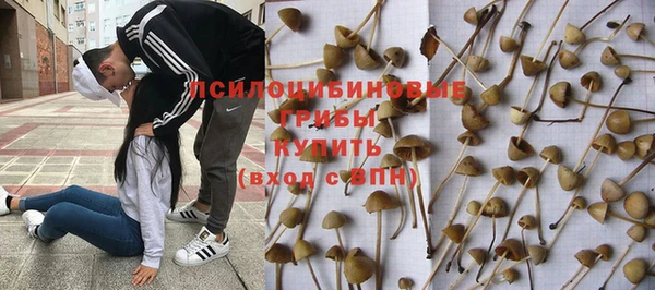 PSILOCYBIN Навашино