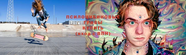 PSILOCYBIN Надым