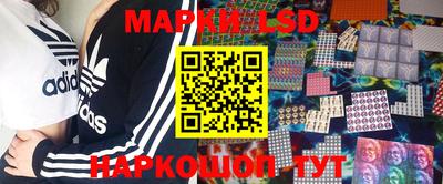 прущие грибы Абакан