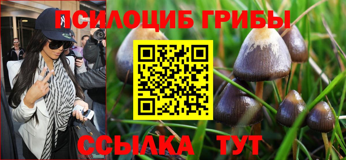 Галлюциногенные грибы ЛСД Полевской